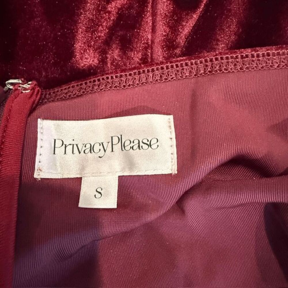 Privacy Please Riley Burgundy Maroon Velvet Ruffle Hem Mini Dress Size Small - Picture 8 of 14
